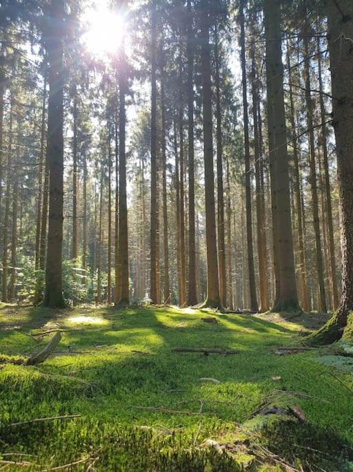 Gite N° 20, En Pleine Nature, Frontalier Signy-le-Petit エクステリア 写真