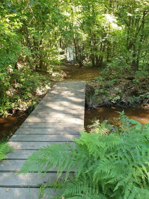 Gite N° 20, En Pleine Nature, Frontalier Signy-le-Petit エクステリア 写真